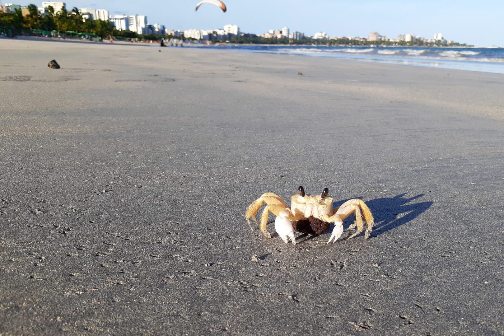 Praia de Pajuçara, Maceió