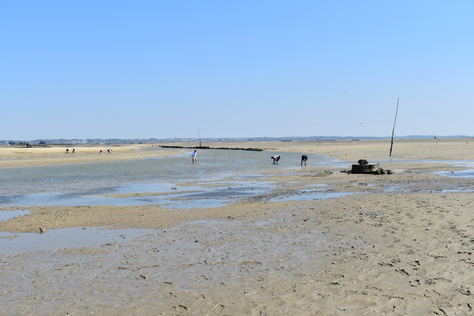 Low tide in Le Croisic, April 2023