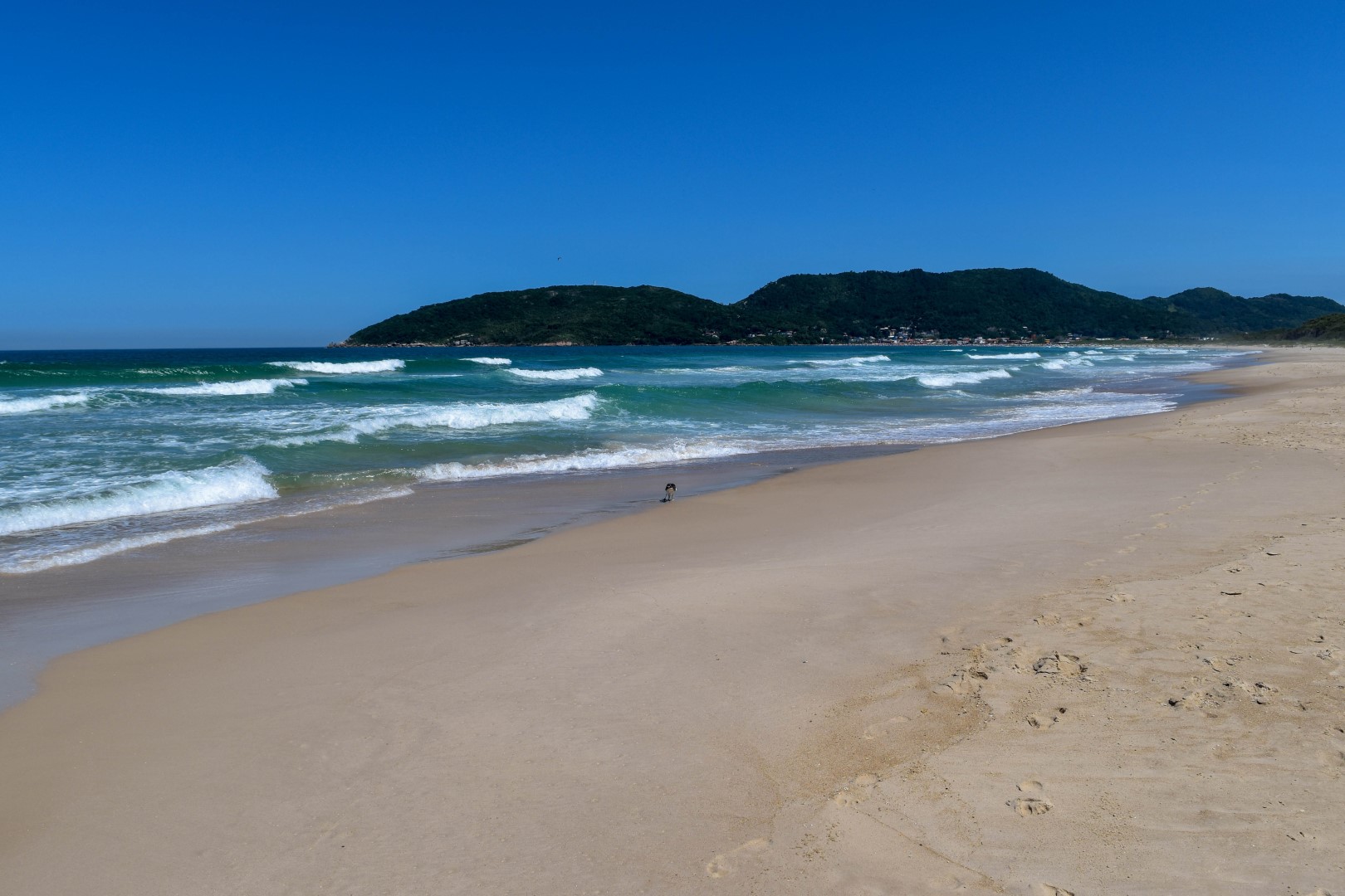 Praia do Moçambique, Florianópolis - State of Santa Catarina