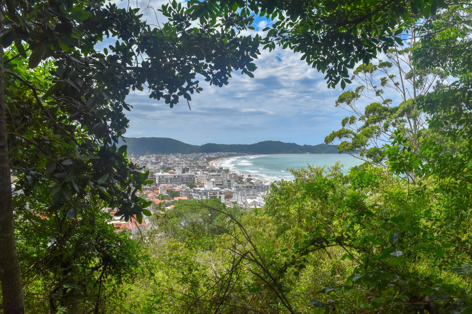 Trilha do Morro do Macaco - Canto - Grande, Bombinhas - SC, 88215-000