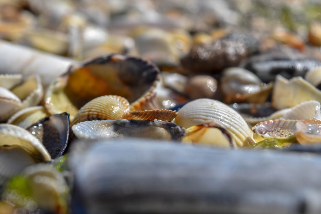 Plage de la Baule, 44500 La Baule-Escoublac
