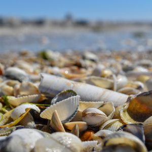 Plage de la Baule, 44500 La Baule-Escoublac