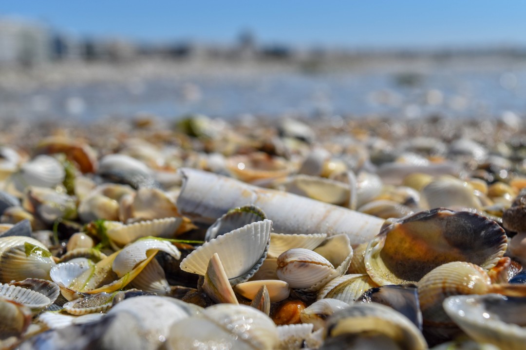 Plage de la Baule, 44500 La Baule-Escoublac