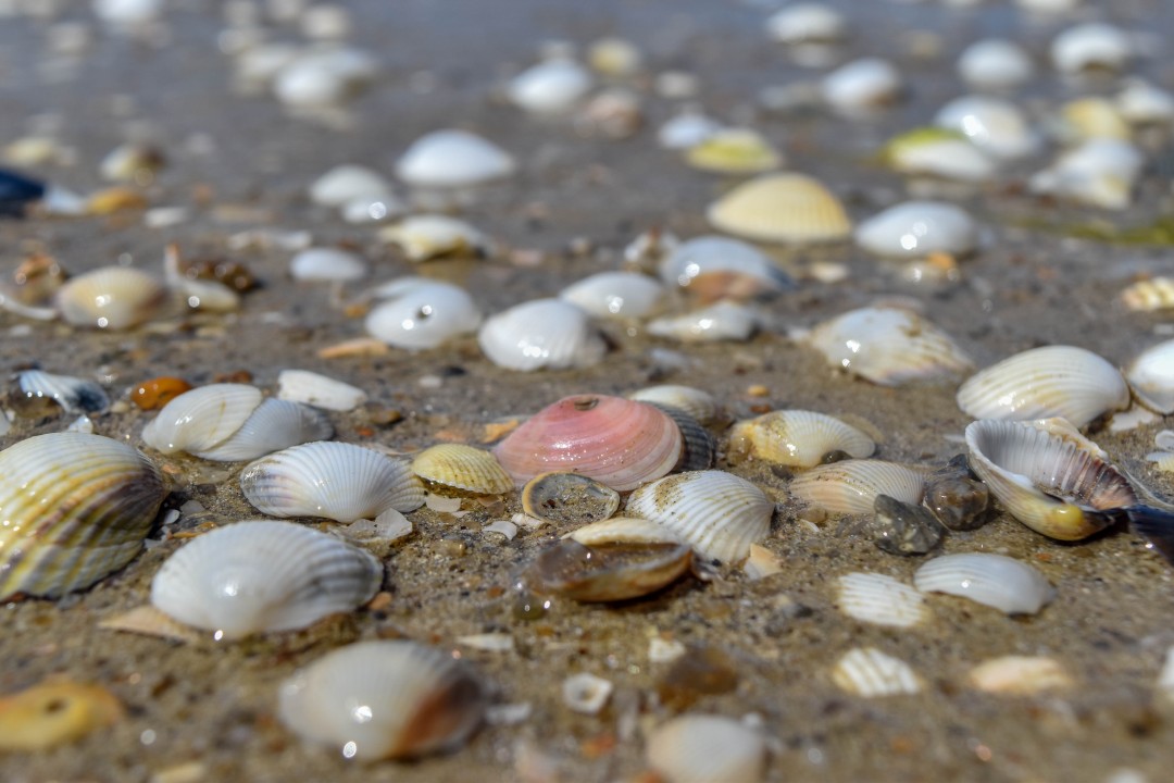 Plage de la Baule, 44500 La Baule-Escoublac