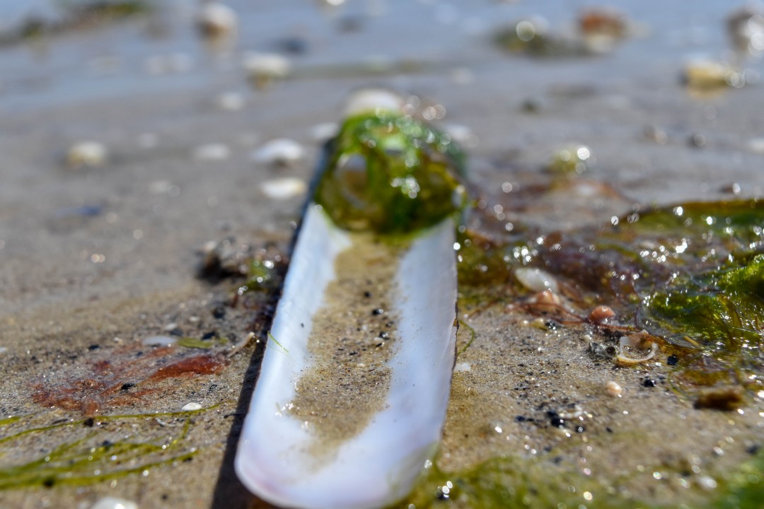 Plage de la Baule, 44500 La Baule-Escoublac