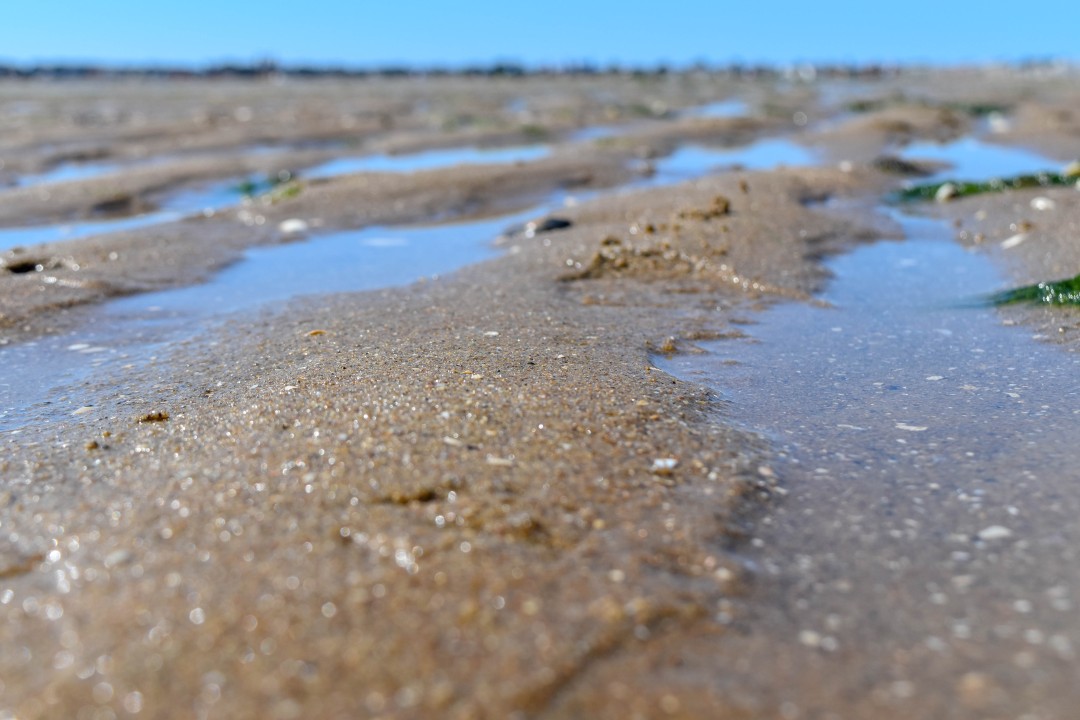 Plage de la Baule, 44500 La Baule-Escoublac