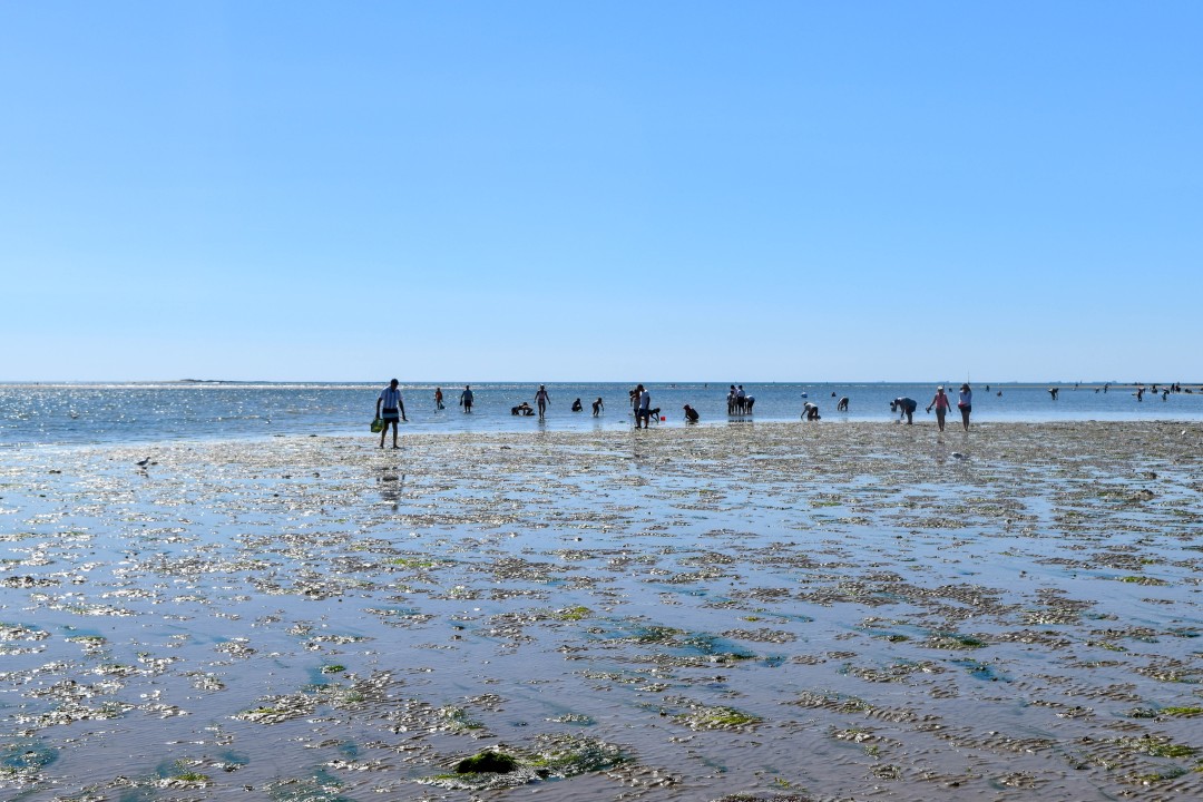 Plage de la Baule, 44500 La Baule-Escoublac