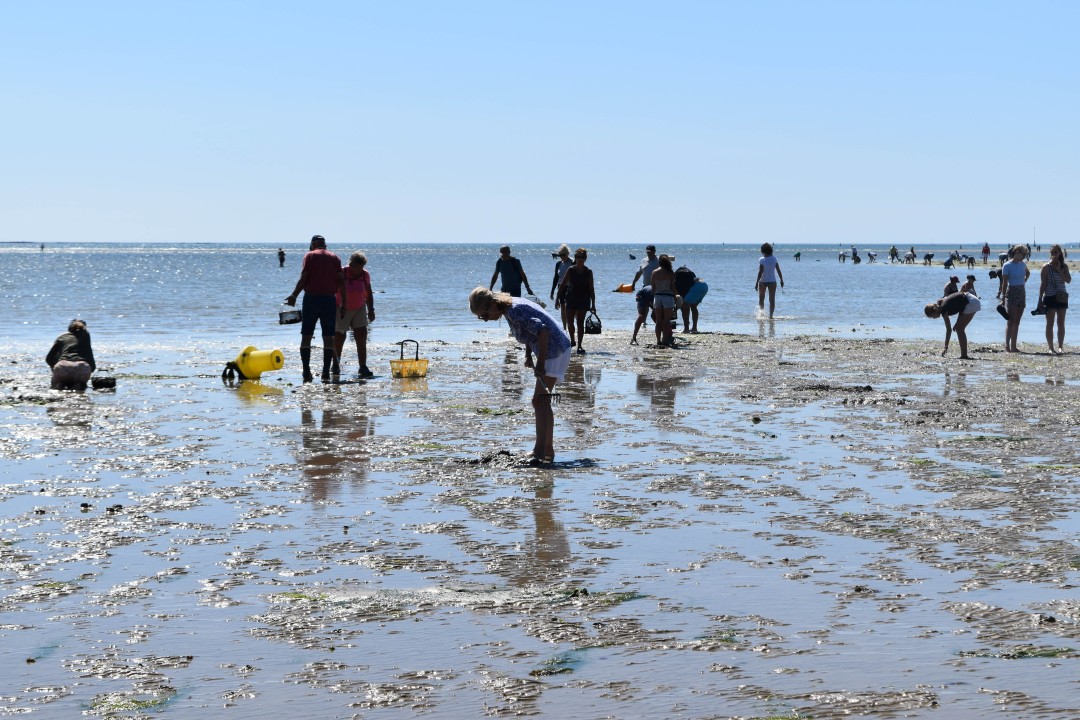 Plage de la Baule, 44500 La Baule-Escoublac