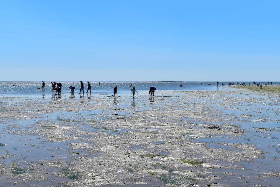 Plage de la Baule, 44500 La Baule-Escoublac