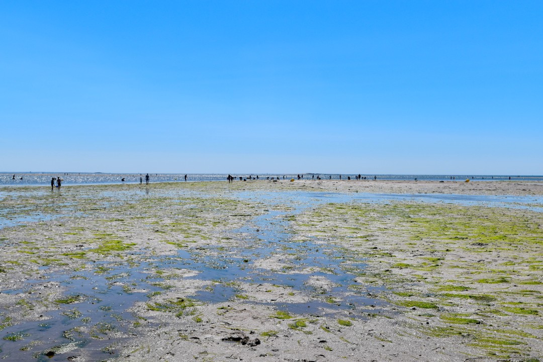 Plage de la Baule, 44500 La Baule-Escoublac