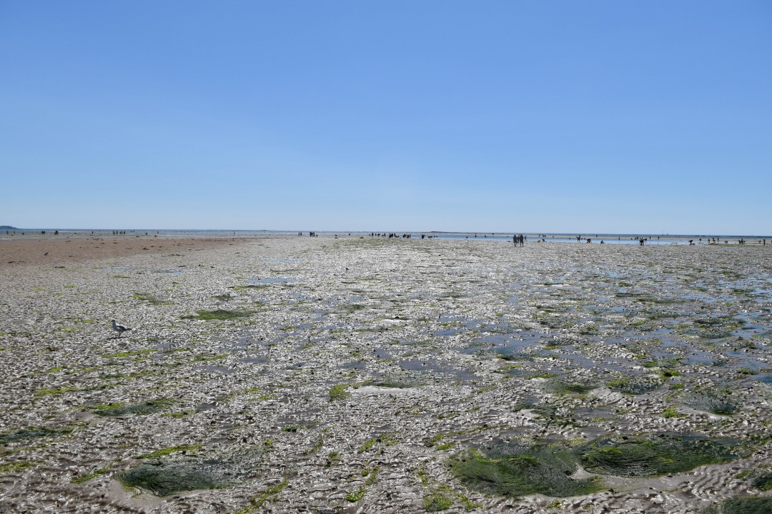 Plage de la Baule, 44500 La Baule-Escoublac