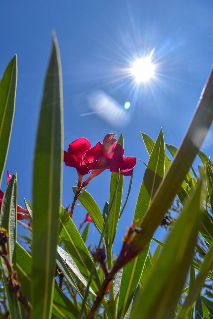 Plage Benoît, 44500 La Baule-Escoublac