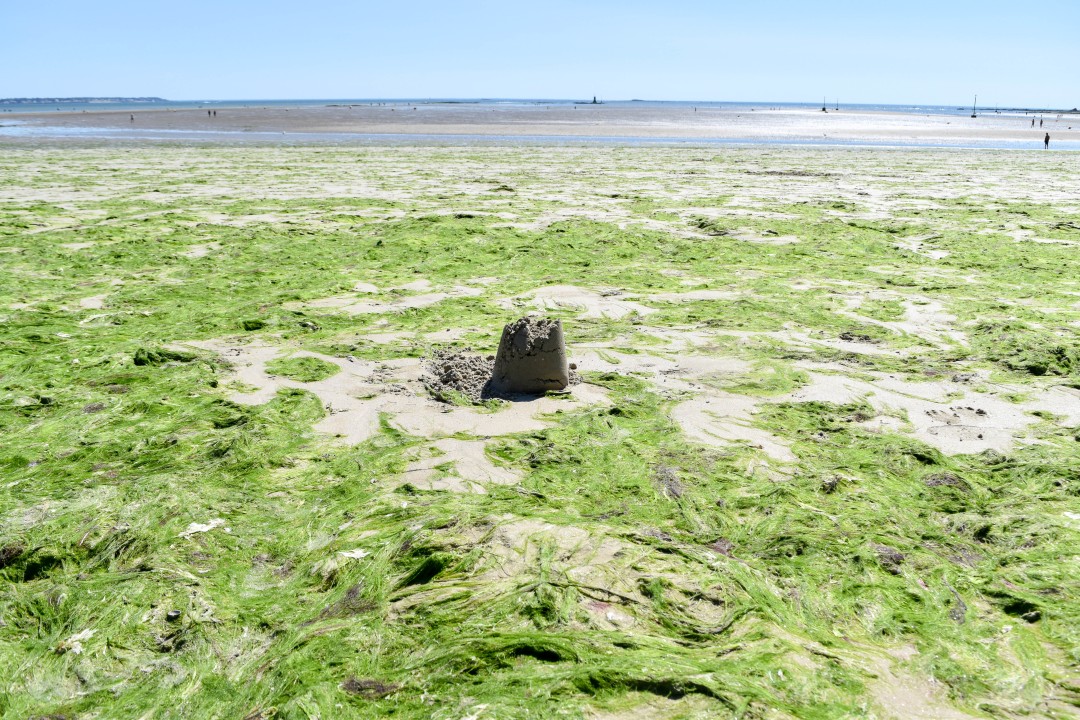 Plage Benoît, 44500 La Baule-Escoublac