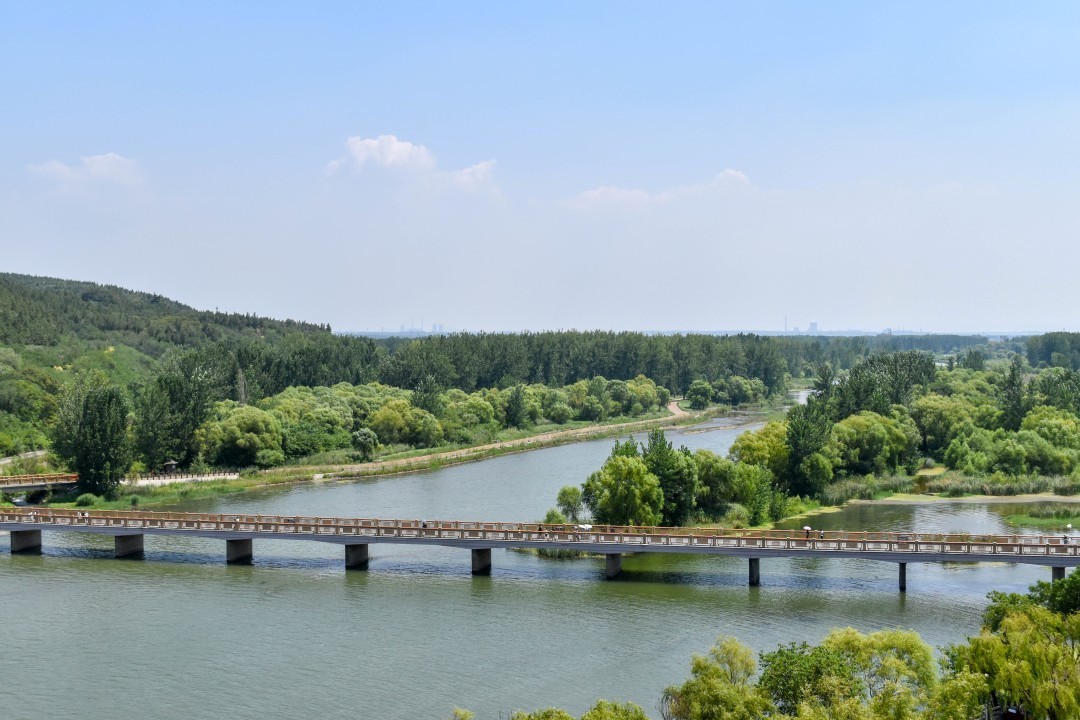 Longmen Grottoes, 龙门石窟, 13 Long Men Zhong Jie, Luolong District, Luoyang, Henan, China, 471023