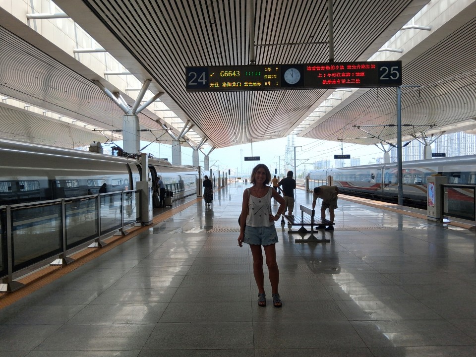 Zhengzhou East Railway Station, 郑州东站, China, Henan, Zhengzhou, Jinshui District, 107 Guo Dao, 107国道附近 邮政编码: 450046