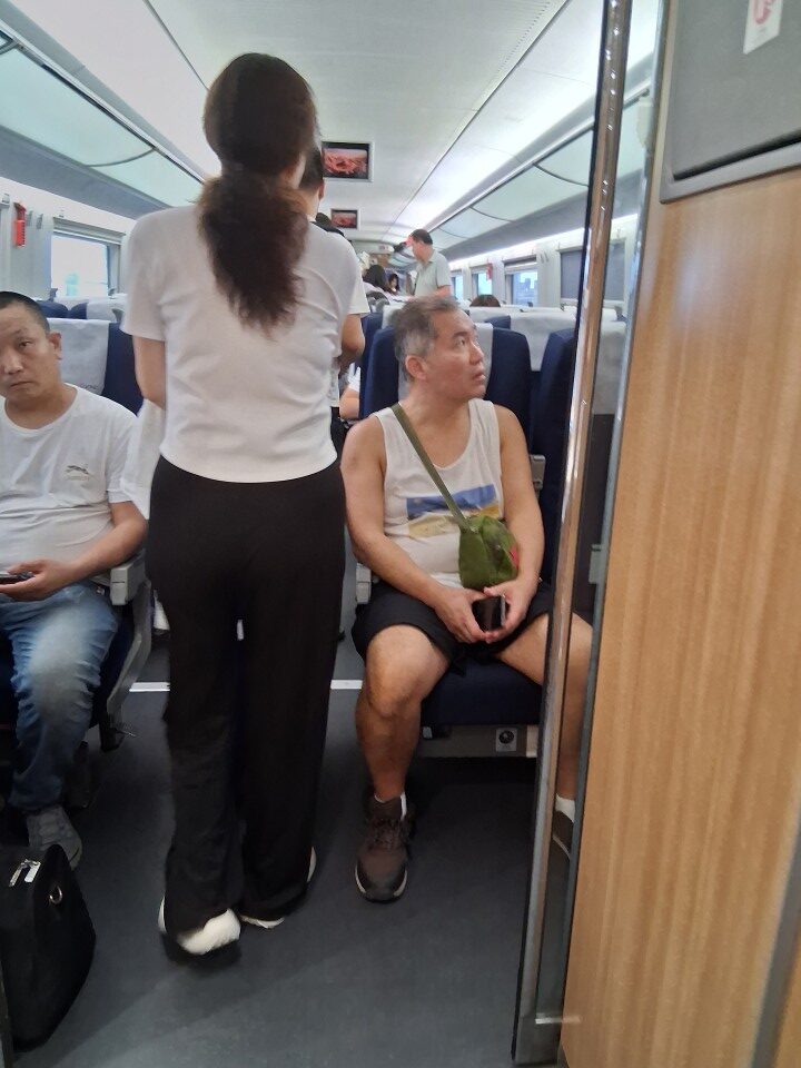 Zhengzhou East Railway Station, 郑州东站, China, Henan, Zhengzhou, Jinshui District, 107 Guo Dao, 107国道附近 邮政编码: 450046