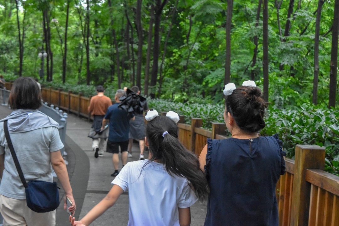 Chengdu Research Base of Giant Panda Breeding, 1375 Xiongmao Blvd, Chenghua District, Chengdu, Sichuan, China, 610016