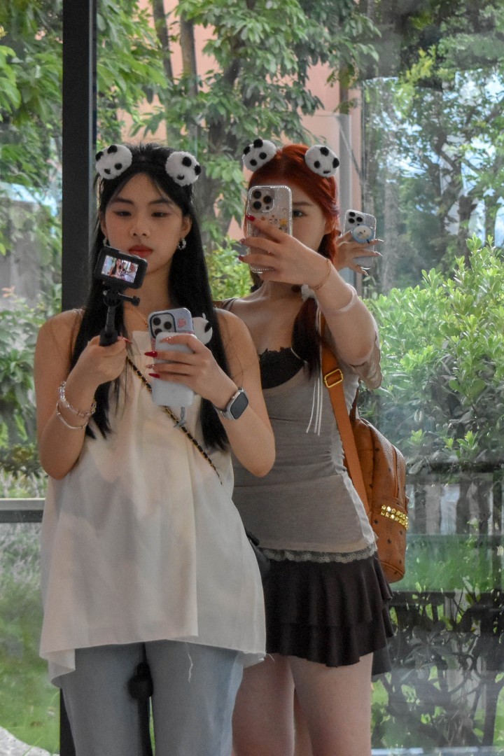 Chengdu Research Base of Giant Panda Breeding, 1375 Xiongmao Blvd, Chenghua District, Chengdu, Sichuan, China, 610016