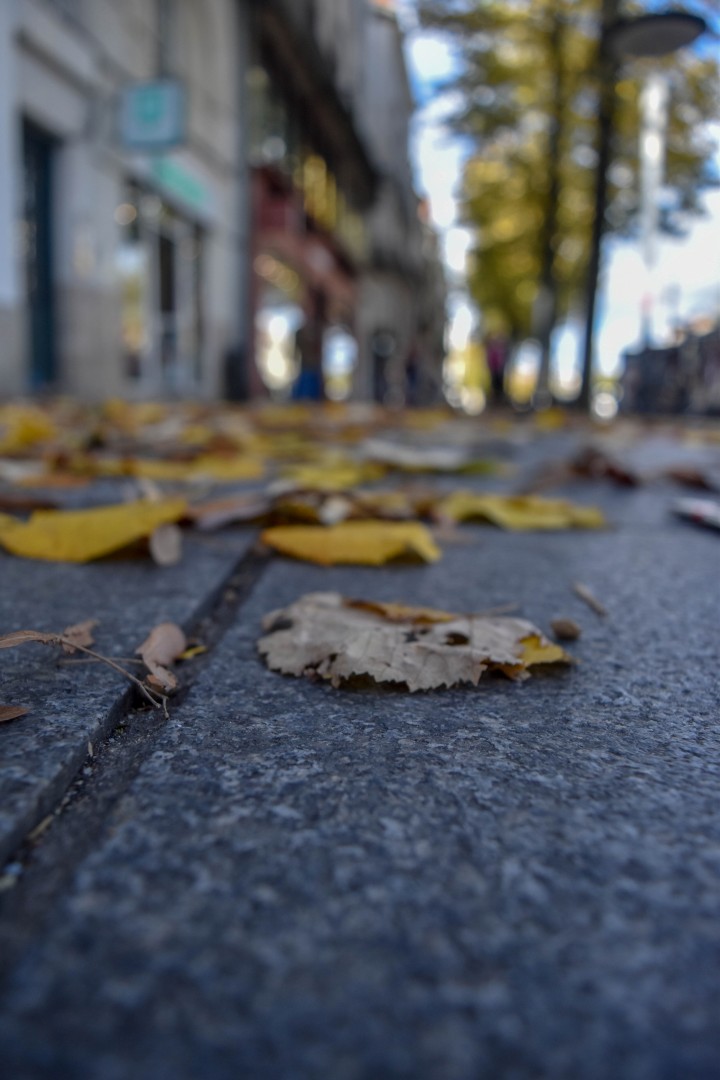 Cour des 50 Otages, 44000 Nantes