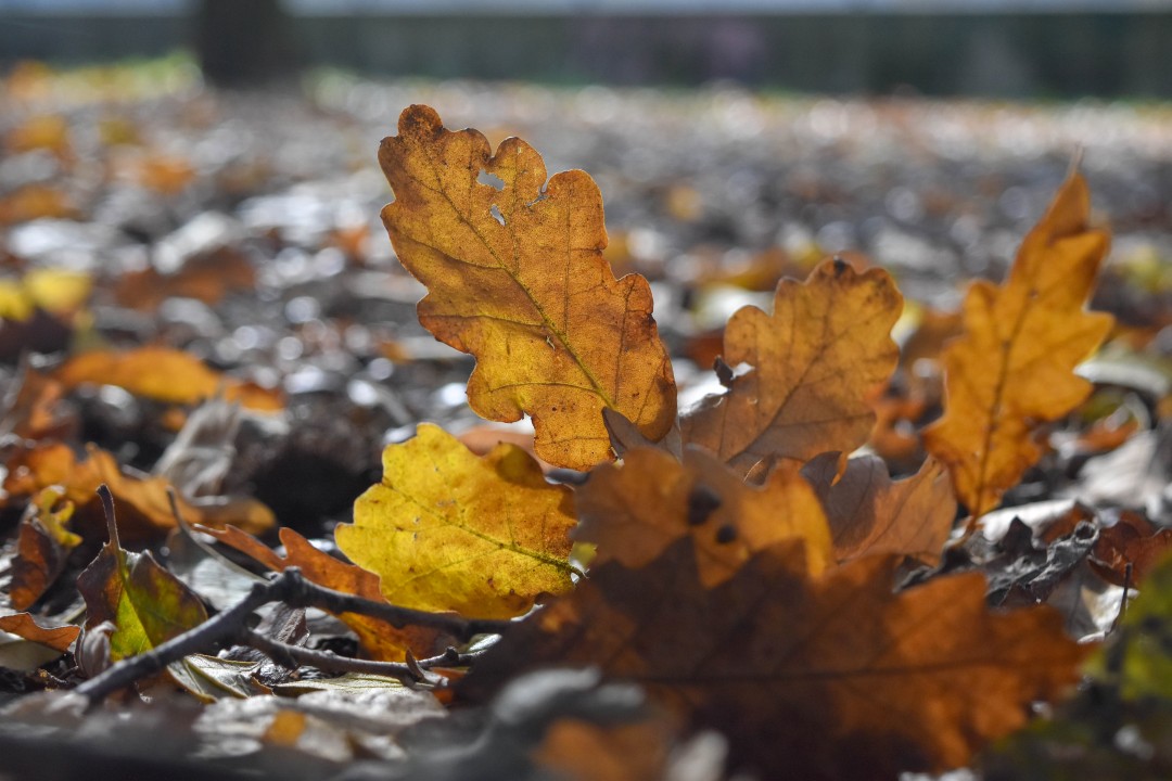 Cours Saint Pierre, 9p Rue Henri IV, 44000 Nantes, France