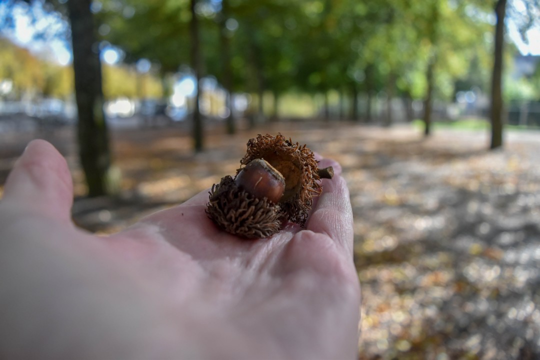 Cours Saint Pierre, 9p Rue Henri IV, 44000 Nantes, France