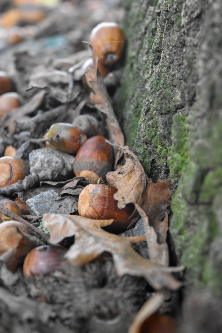 Cours Saint Pierre, 9p Rue Henri IV, 44000 Nantes, France