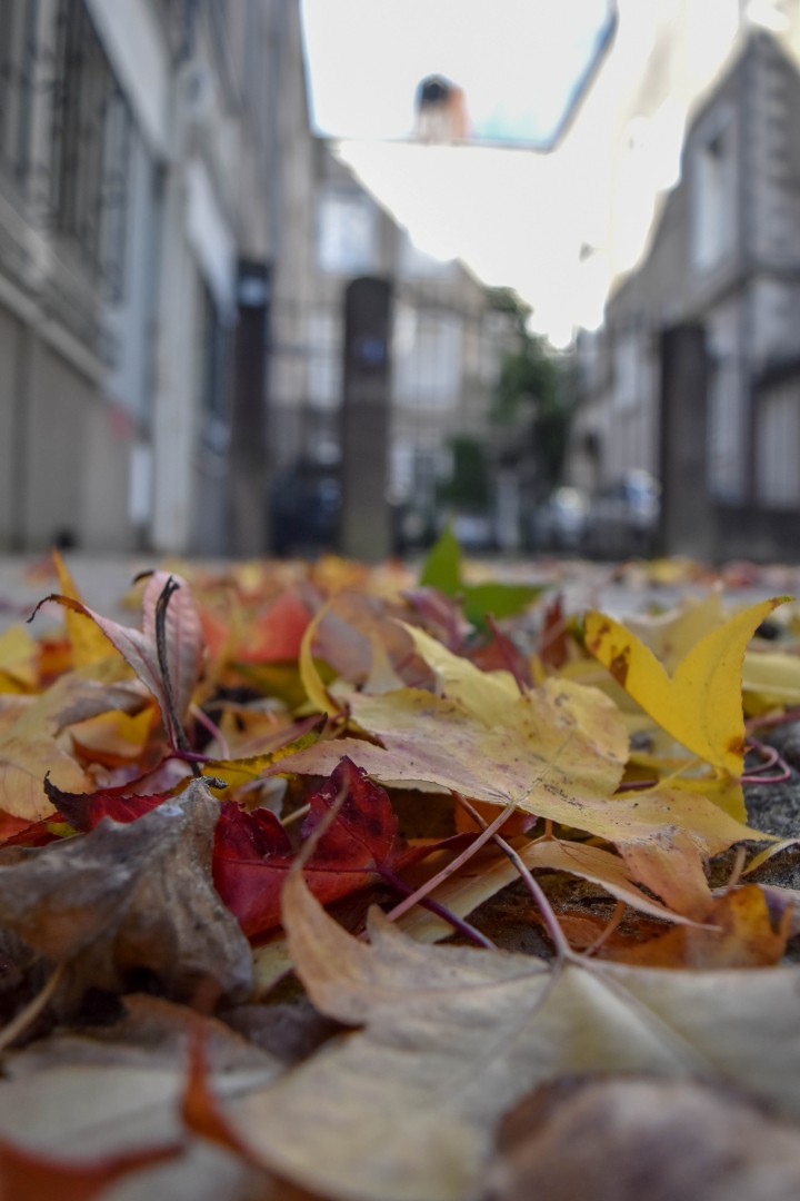 Château des ducs de Bretagne, 4 Pl. Marc Elder, 44000 Nantes, France