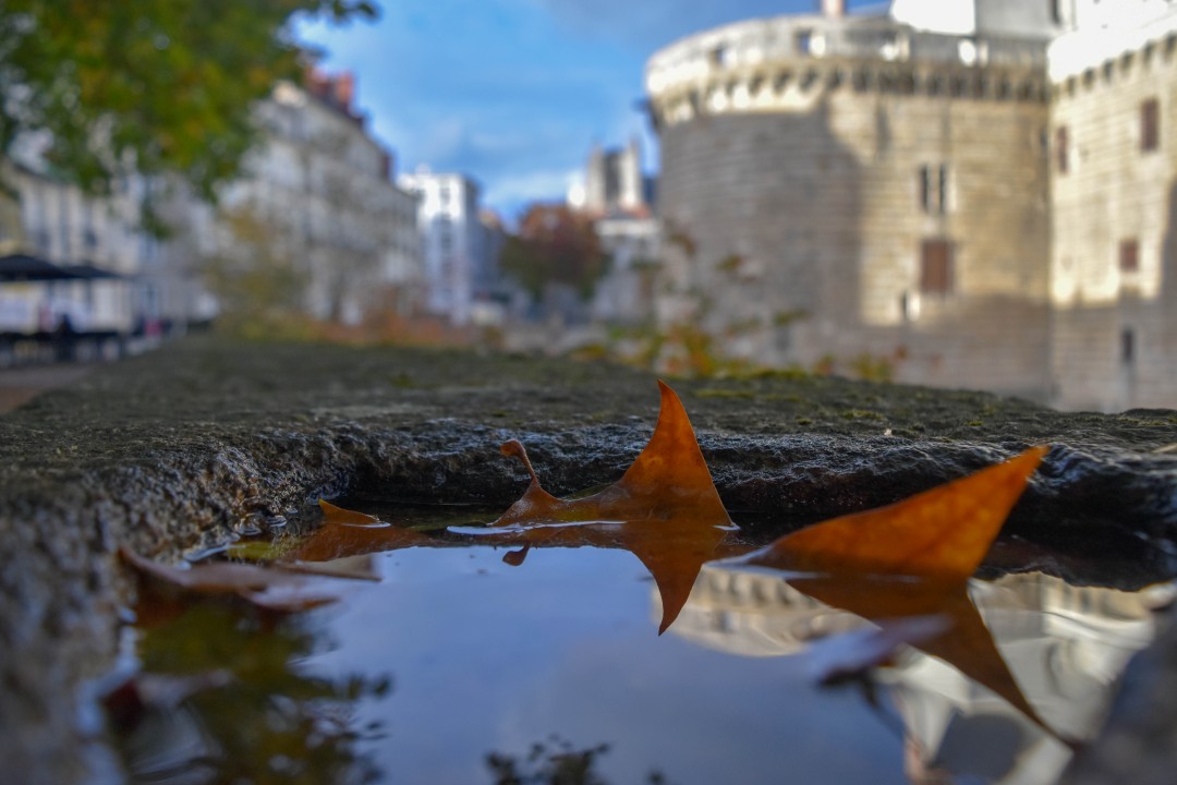 Château des ducs de Bretagne, 4 Pl. Marc Elder, 44000 Nantes, France