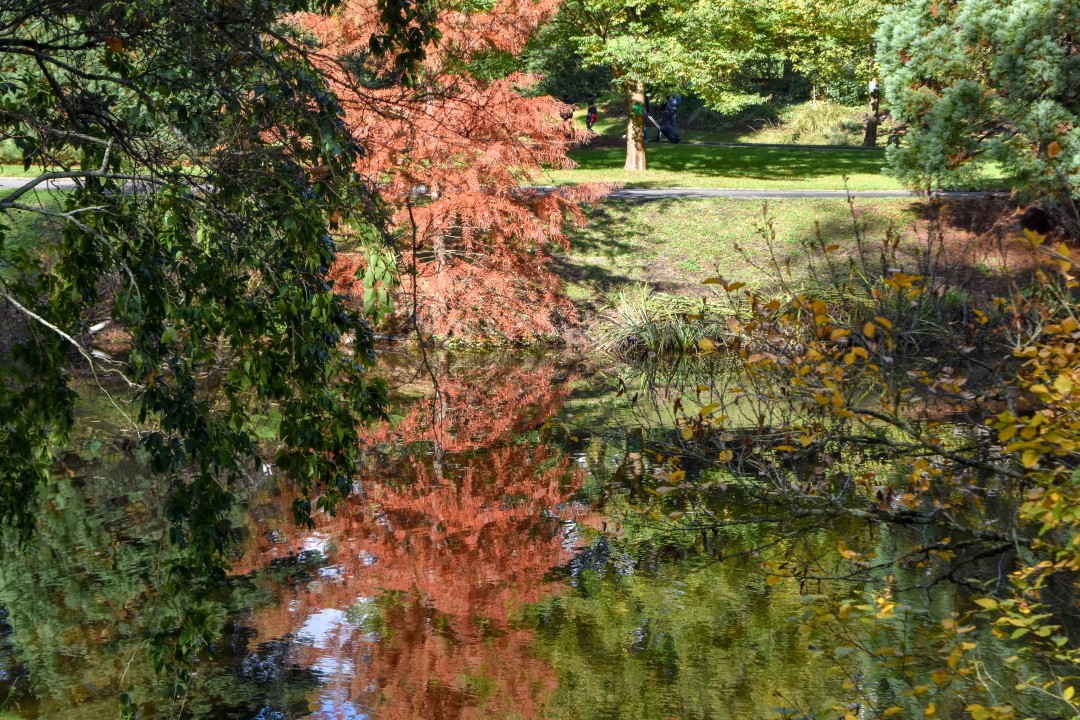 Jardin des Plantes, Rue Stanislas Baudry, 44000 Nantes, France