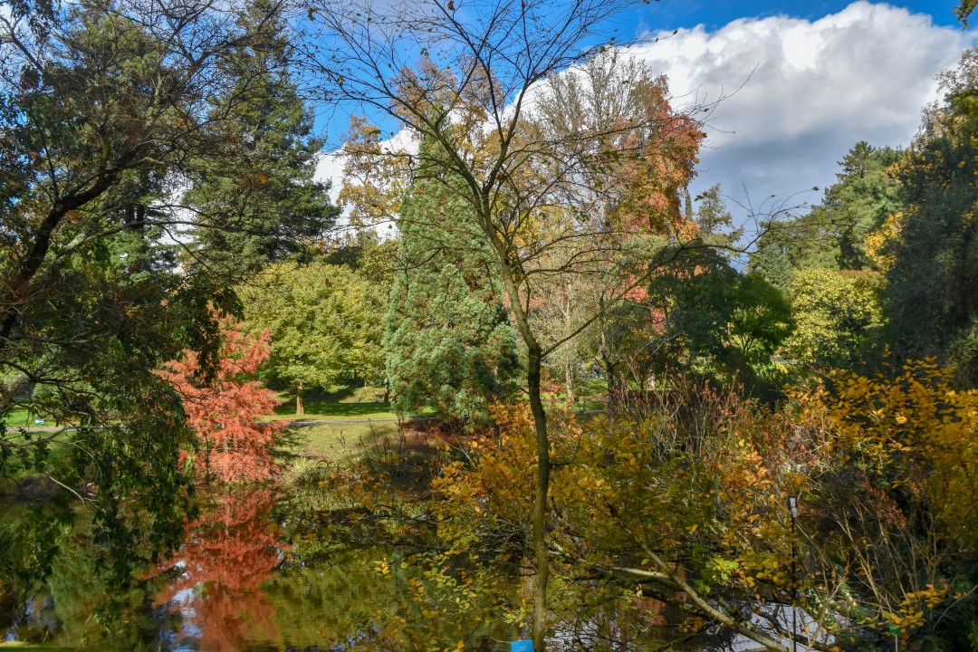 Jardin des Plantes, Rue Stanislas Baudry, 44000 Nantes, France
