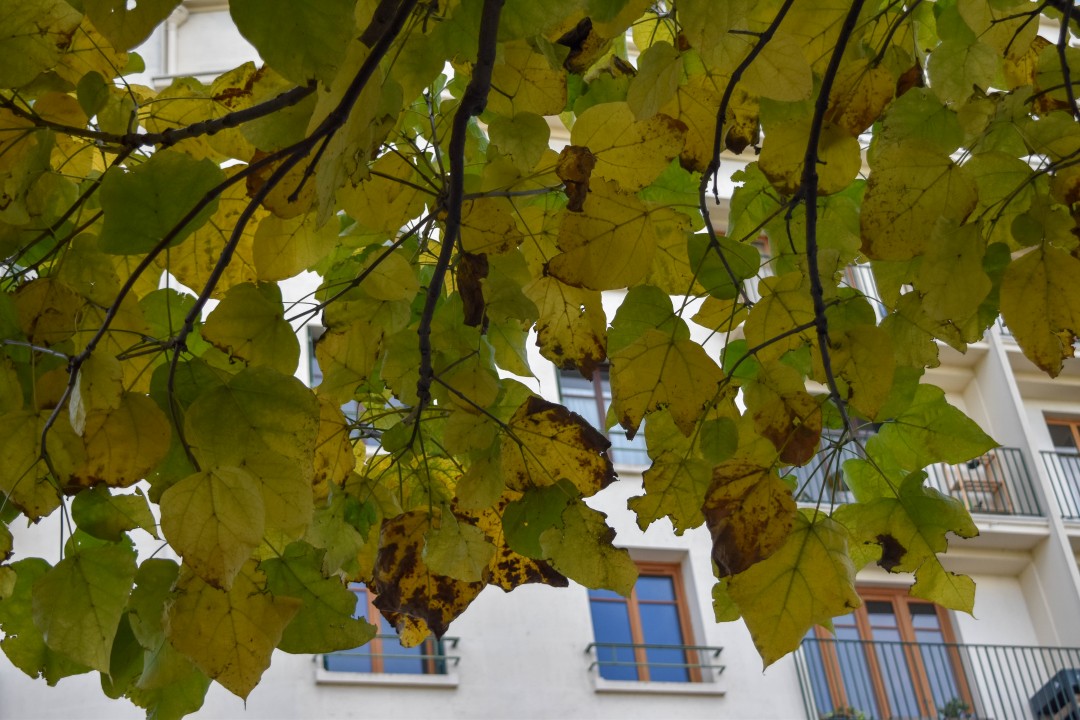 Jardin des Plantes, Rue Stanislas Baudry, 44000 Nantes, France
