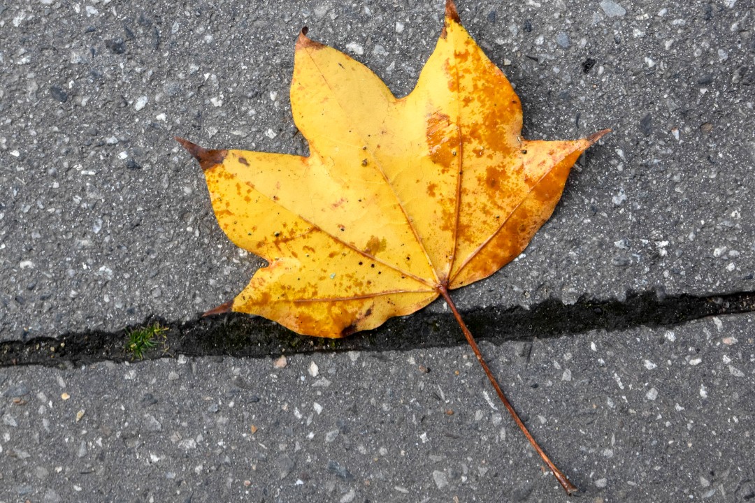 Cours Saint Pierre, 9p Rue Henri IV, 44000 Nantes, France