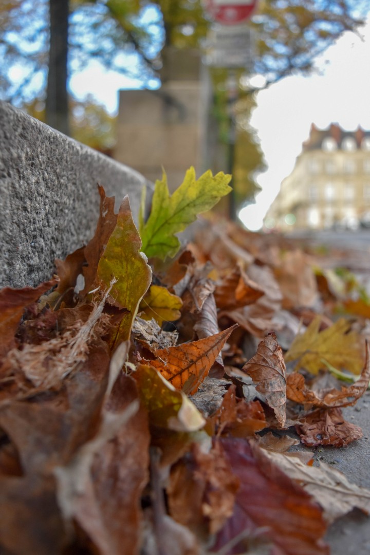 Cours Saint Pierre, 9p Rue Henri IV, 44000 Nantes, France