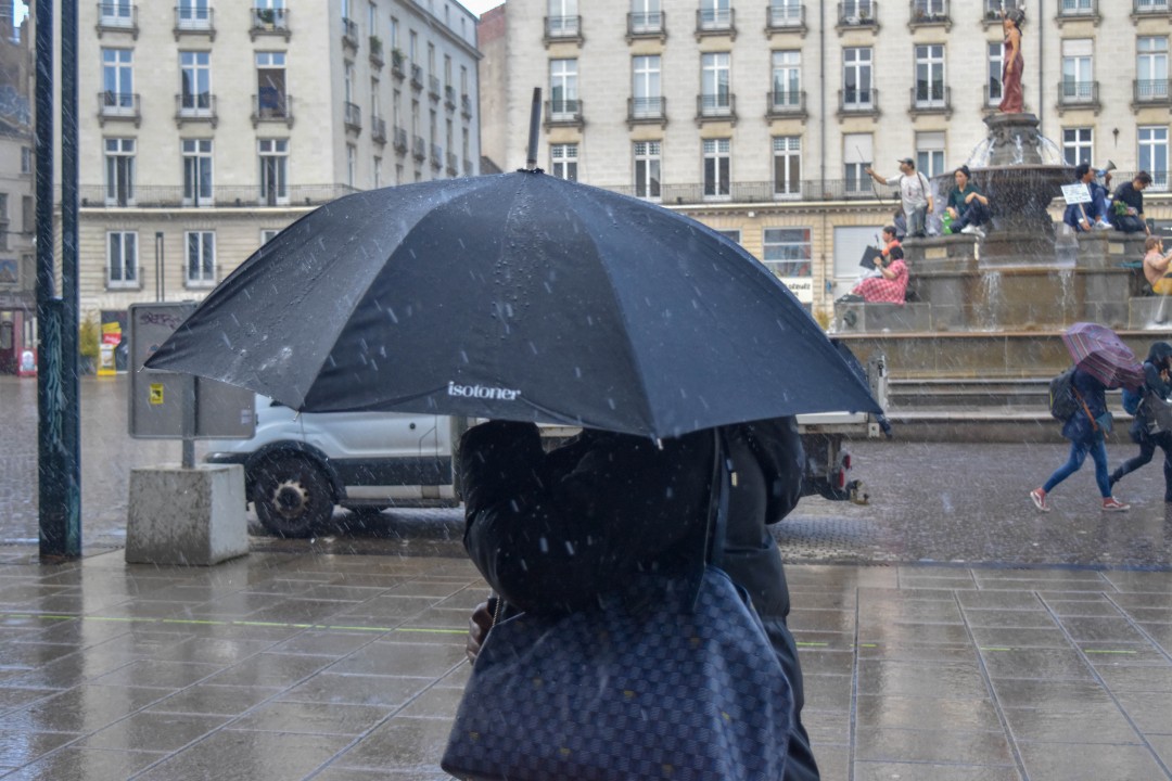 Place Royale, 44000 Nantes