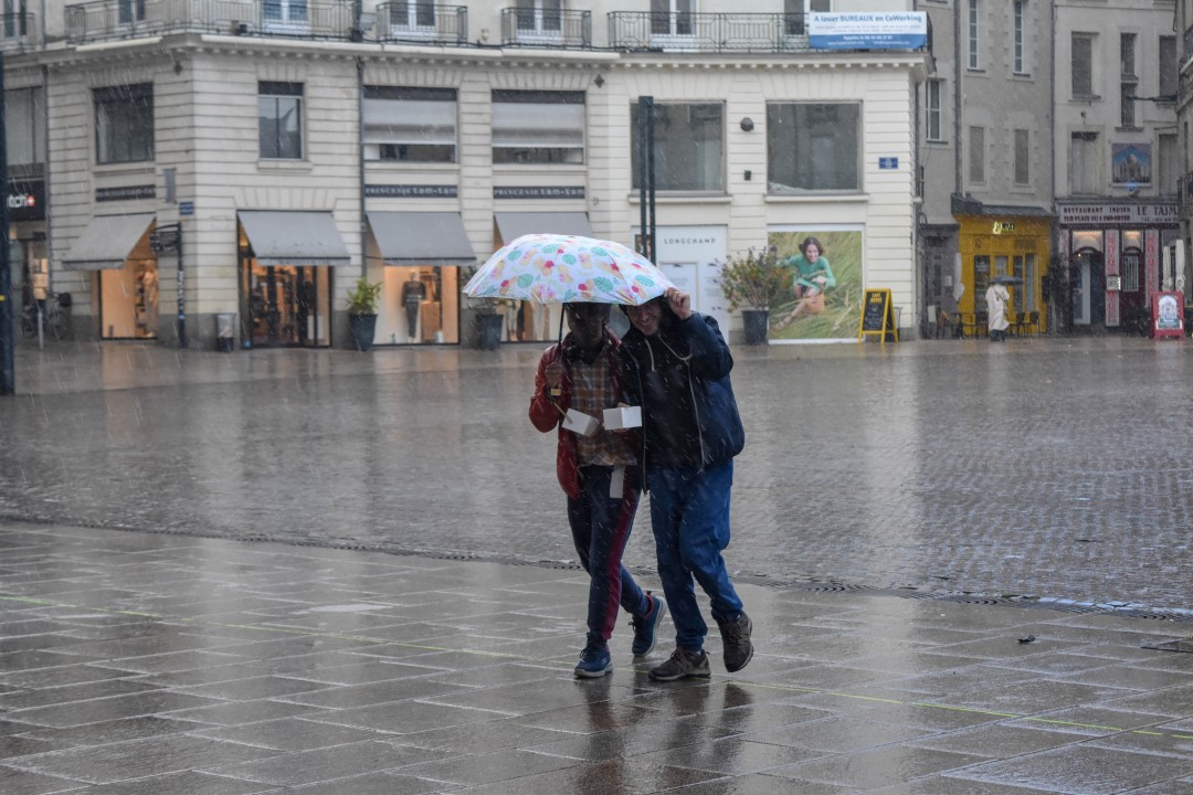 Place Royale, 44000 Nantes