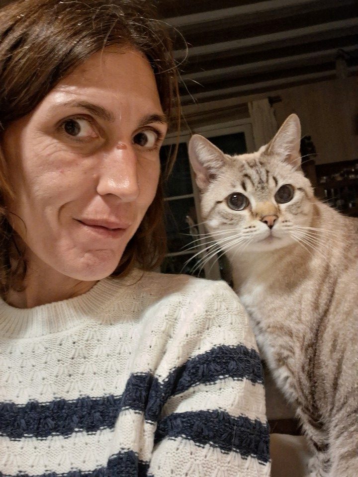 Teaching myn mum's cat, Émile, how to do selfie, Nantes, October 2025