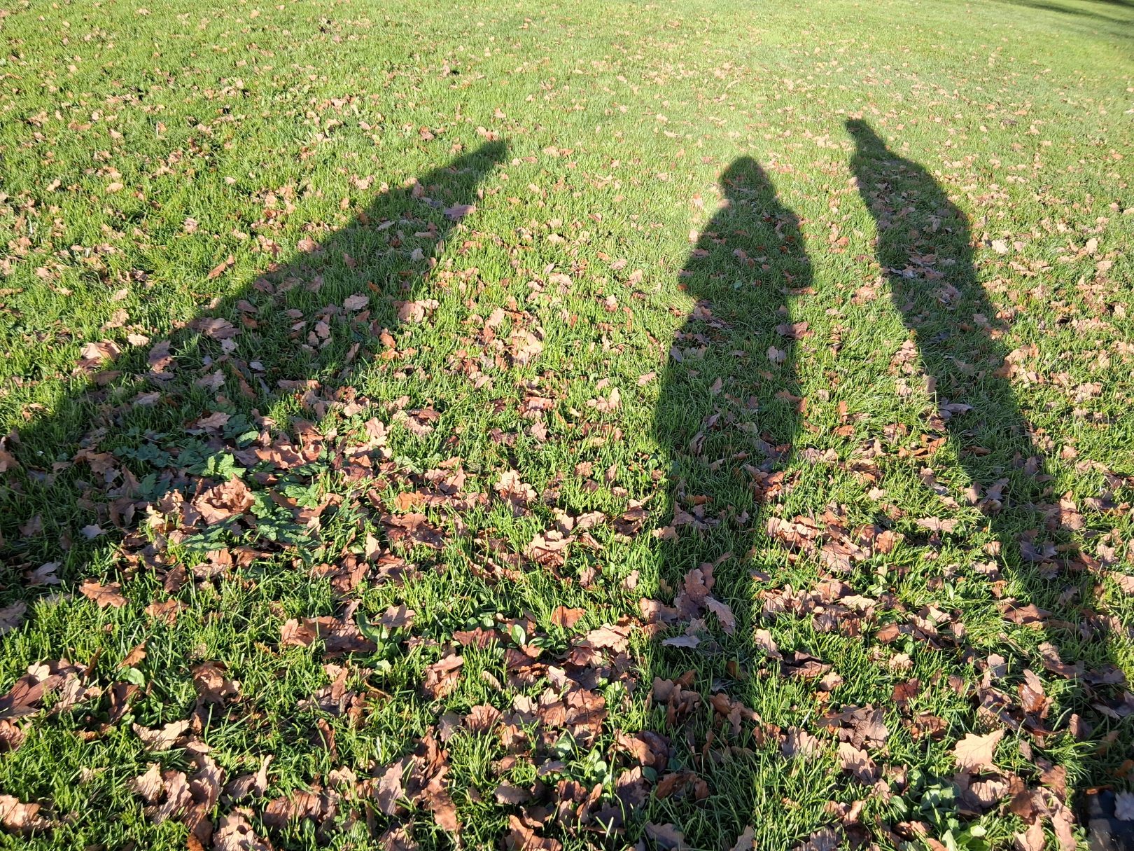 My mum, brother and I, parc de Procé, 44000 Nantes