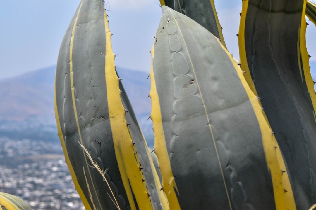 Cerro San Cristóbal, Providencia, Recoleta, Región Metropolitana