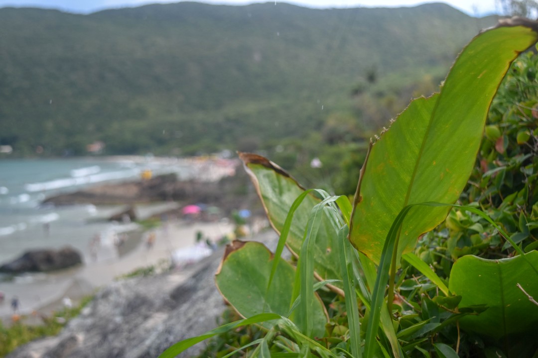 Praia do Matadeiro, Ilha de Santa Catarina