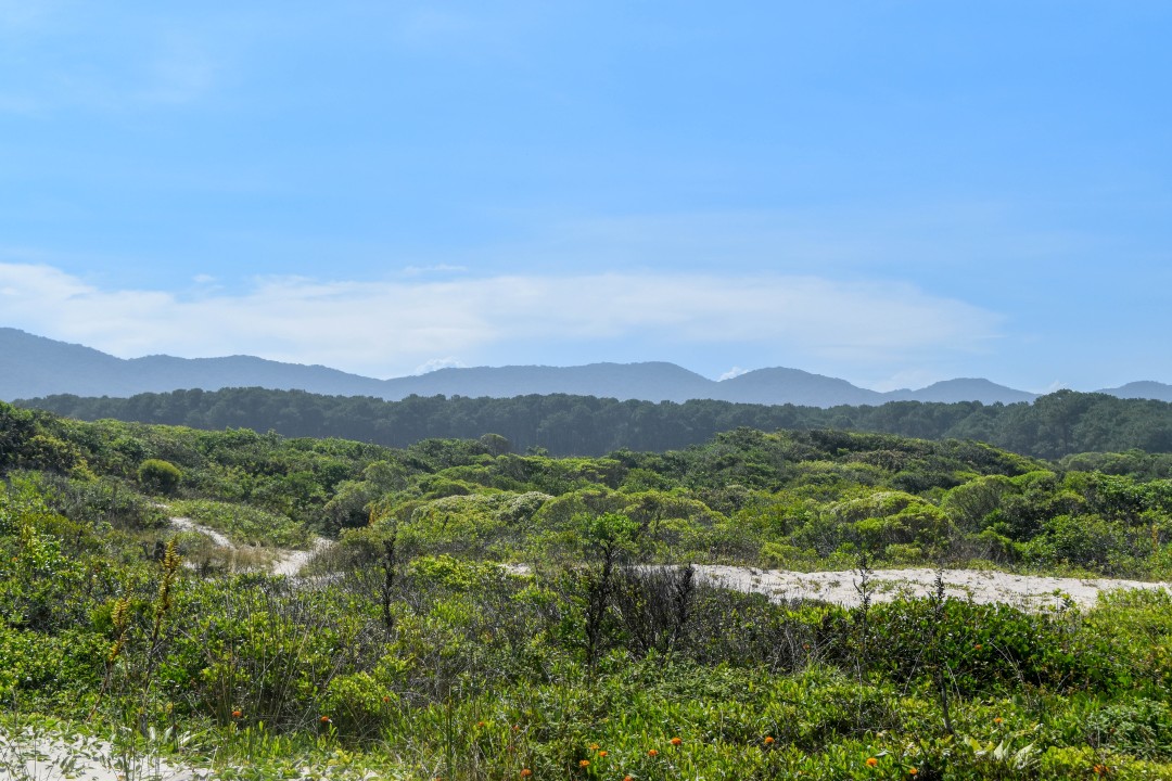Praia do Moçambique, Ilha de Santa Catarina