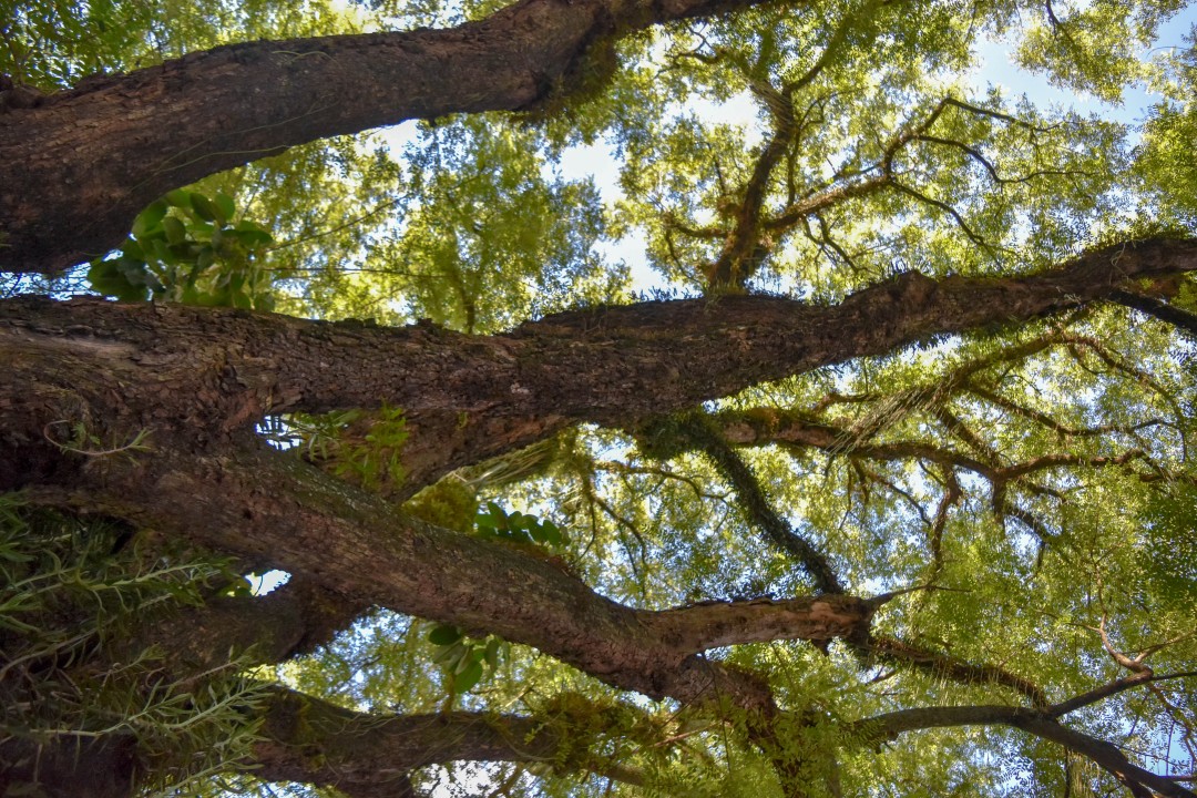 Centro, Foz do Iguaçu - PR, 85851-040, Brazil