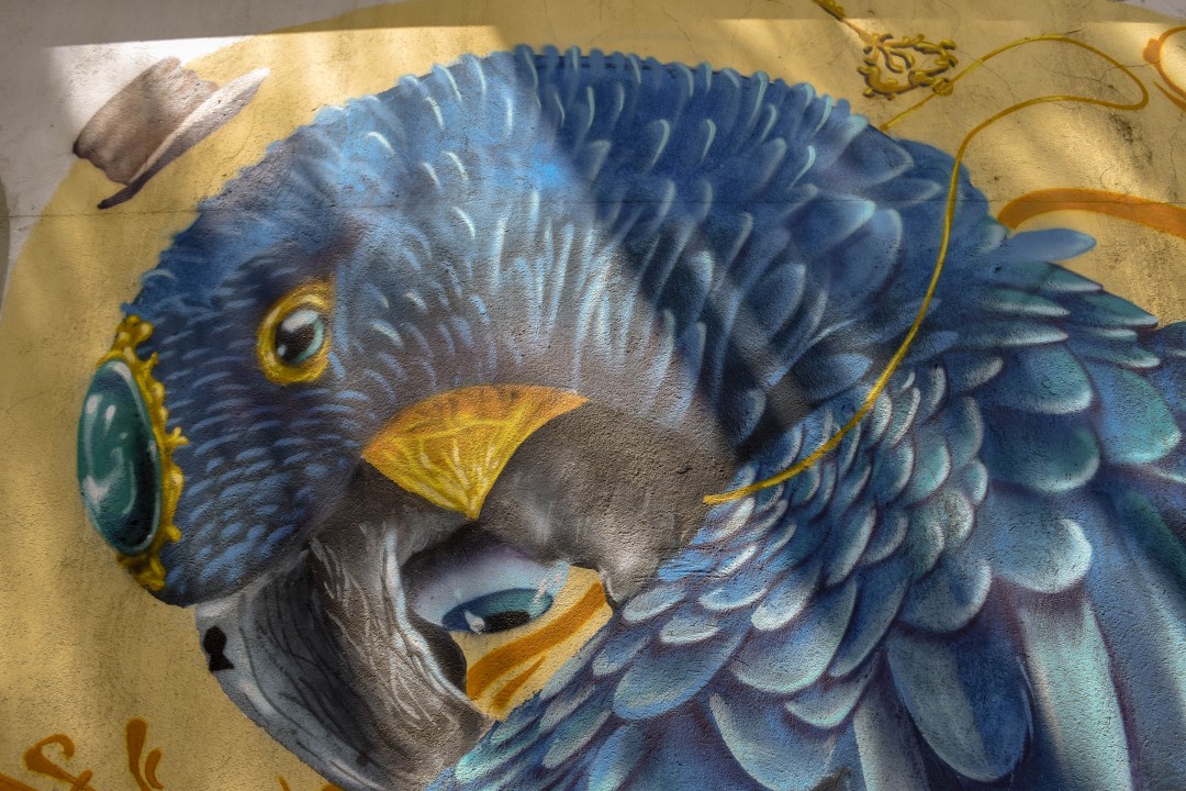 Av. das Cataratas - Vila Yolanda, Foz do Iguaçu - PR, 85853-000, Brazil