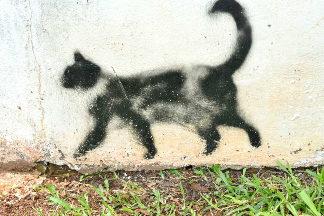 Av. das Cataratas - Vila Yolanda, Foz do Iguaçu - PR, 85853-000, Brazil