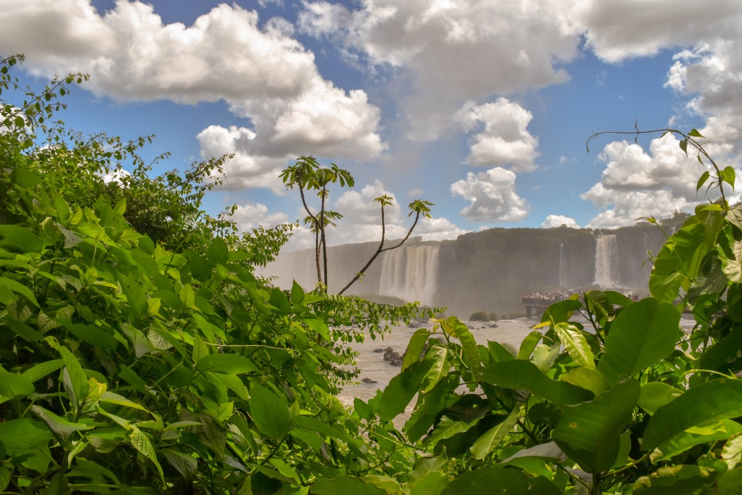 Cataratas do Iguaçu, Rodovia dos Cataratas, Km 18, Foz de Iguacu, Paraná