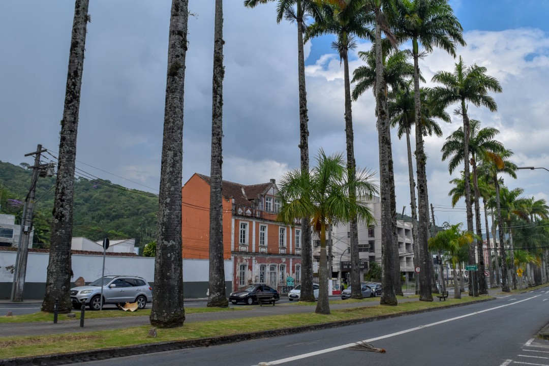 Rua das Palmeiras, Alameda Duque de Caxias - Centro, Blumenau - SC, 89015-010