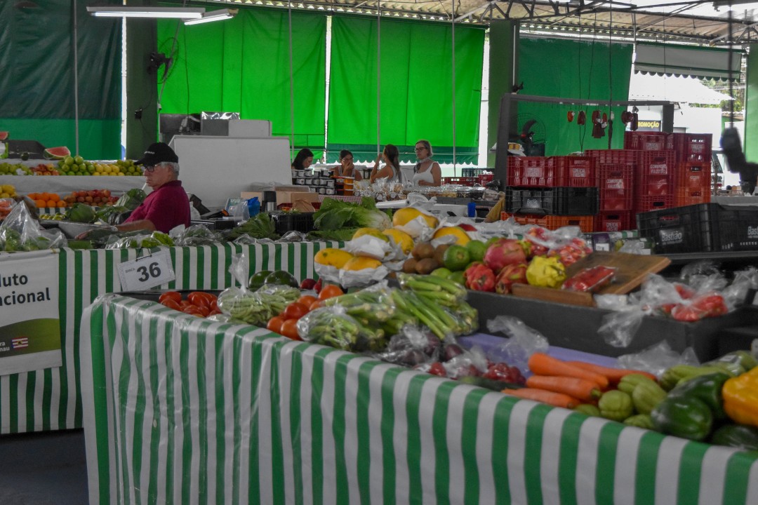 R. Humberto de Campos, 440 - Velha, Blumenau - SC, 89036-200