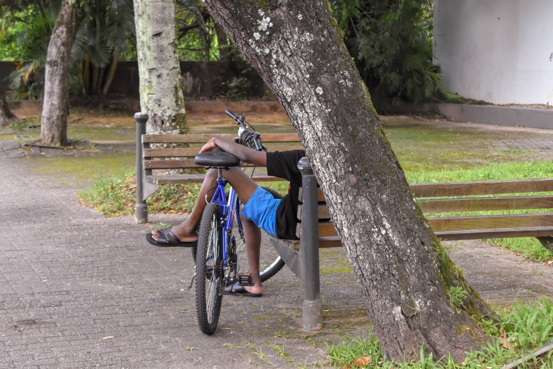 R. XV de Novembro - Centro, Blumenau - SC, 89010-003