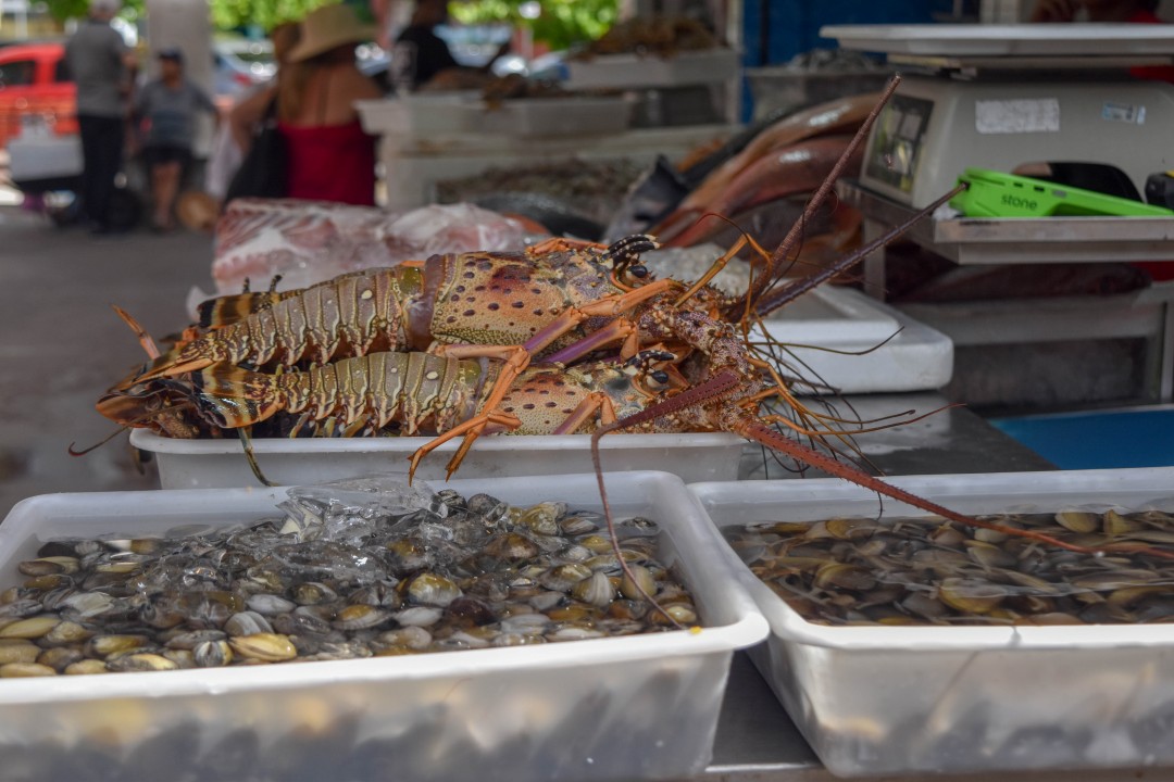 Mercado dos Peixes de Fortaleza, Av. Beira Mar, 3479 - Meireles, Fortaleza - CE, 60165-121
