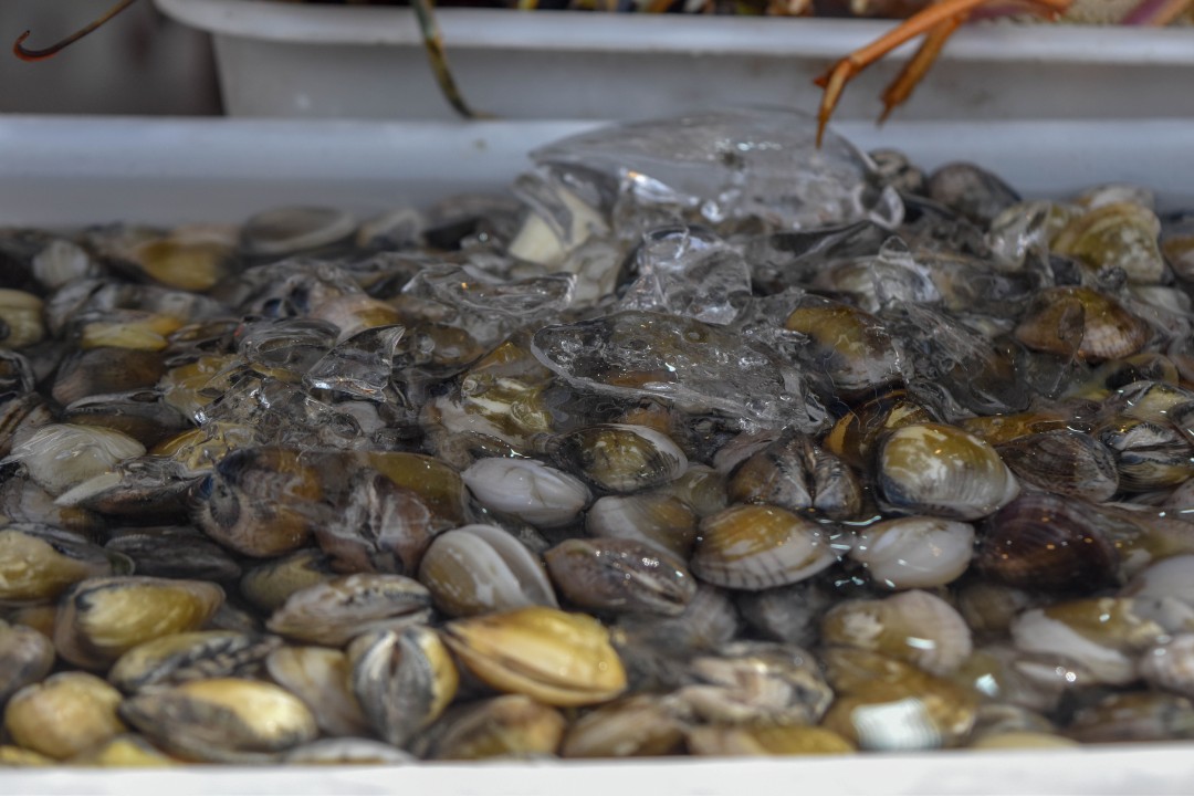 Mercado dos Peixes de Fortaleza, Av. Beira Mar, 3479 - Meireles, Fortaleza - CE, 60165-121
