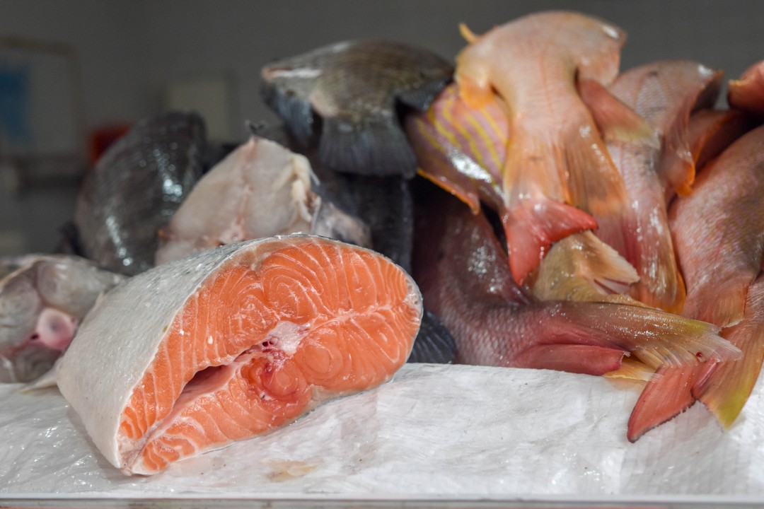 Mercado dos Peixes de Fortaleza, Av. Beira Mar, 3479 - Meireles, Fortaleza - CE, 60165-121